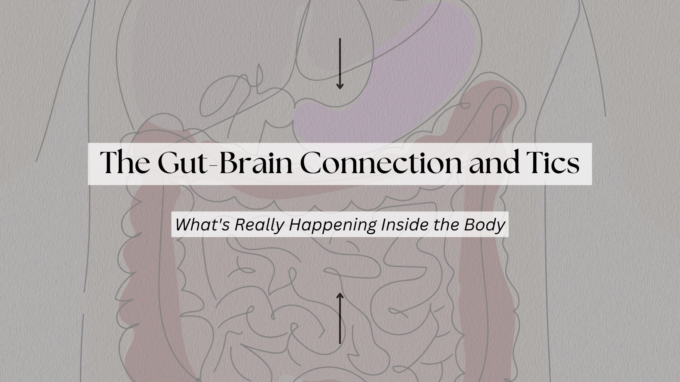 Illustrated diagram of the human digestive system with arrows showing bidirectional communication between the gut and brain, with text overlay reading "The Gut-Brain Connection and Tics: What's Really Happening Inside the Body" — a blog post by Three23 Therapy.